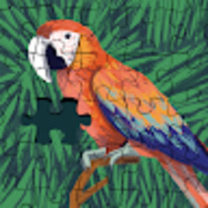 Meet your Posher, Jayce